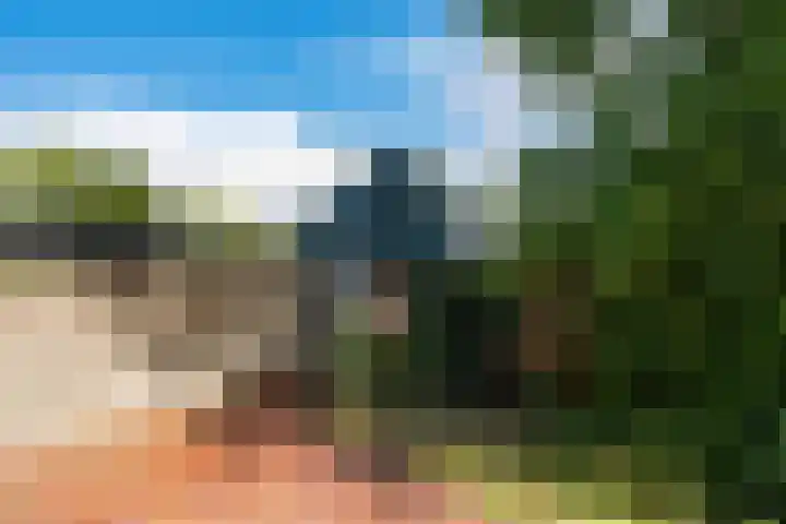 De Tip 29 De Kiel thumbnail 36