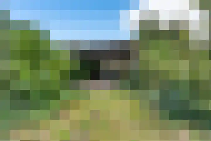 De Tip 29 De Kiel thumbnail 37