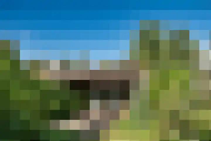 De Tip 29 De Kiel thumbnail 38