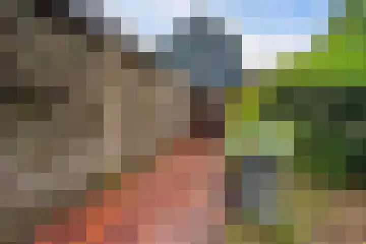 De Tip 29 De Kiel thumbnail 4