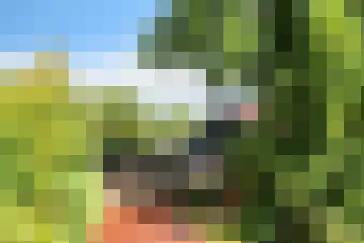 De Tip 29 De Kiel thumbnail 40