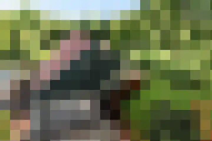 De Tip 29 De Kiel thumbnail 41