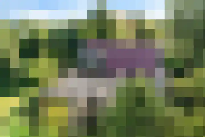 De Tip 29 De Kiel thumbnail 44