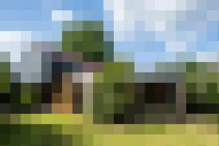 De Tip 29 De Kiel thumbnail 46