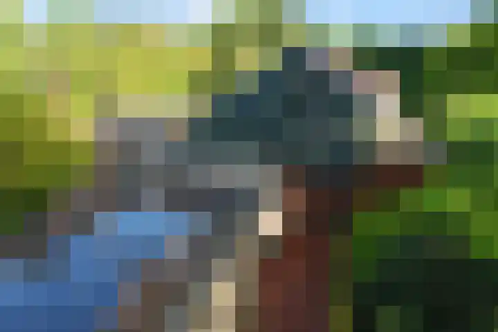 De Tip 29 De Kiel thumbnail 48