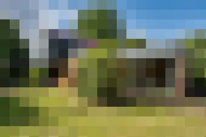 De Tip 29 De Kiel thumbnail 5