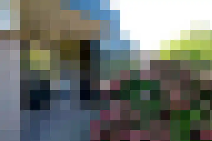 De Tip 67 De Kiel foto 2