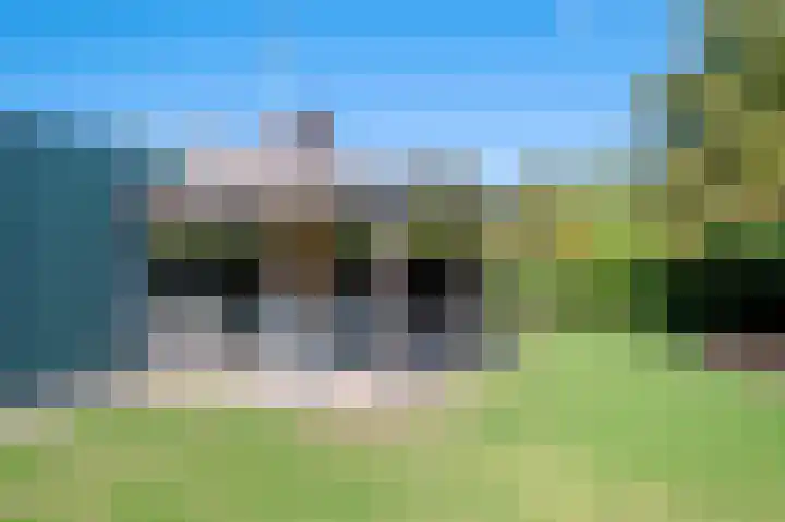 De Tip 67 De Kiel thumbnail 22