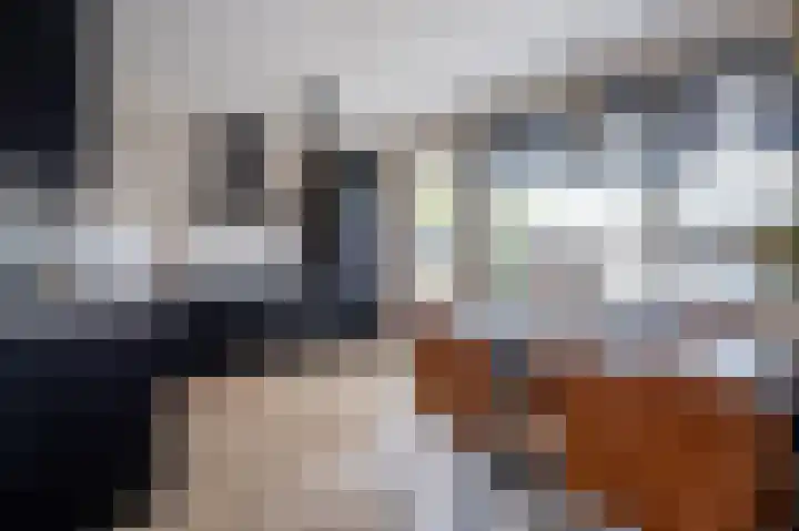 De Tipakkers 9 Pesse thumbnail 10