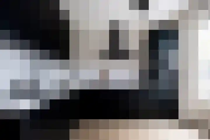 De Tipakkers 9 Pesse thumbnail 11