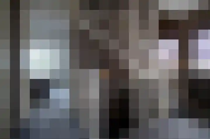 De Tipakkers 9 Pesse thumbnail 17