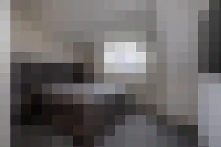 De Tipakkers 9 Pesse thumbnail 18