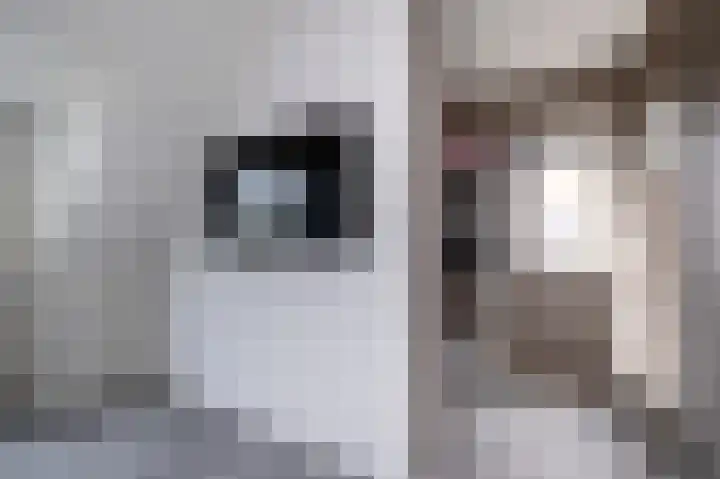 De Tipakkers 9 Pesse thumbnail 19