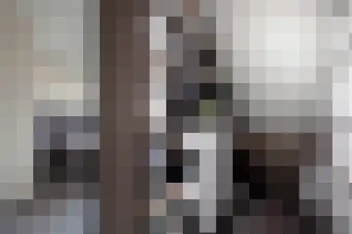 De Tipakkers 9 Pesse thumbnail 20