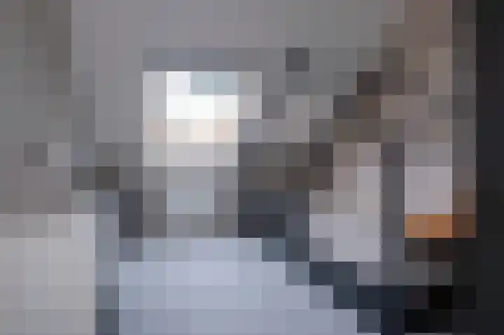 De Tipakkers 9 Pesse thumbnail 23