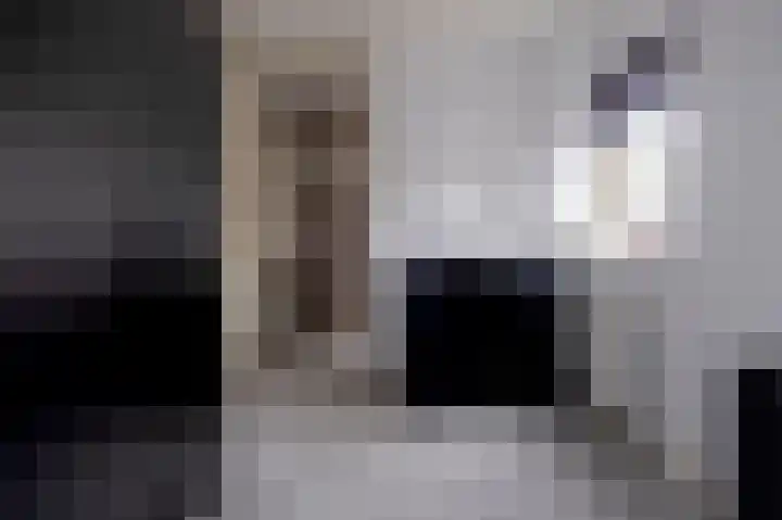 De Tipakkers 9 Pesse thumbnail 27