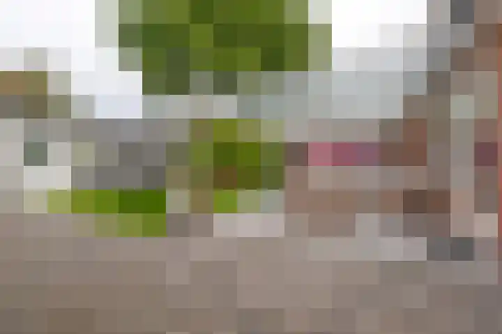 De Tipakkers 9 Pesse thumbnail 30