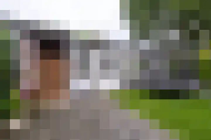 De Tipakkers 9 Pesse thumbnail 31