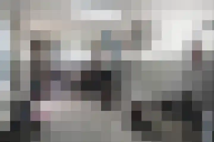 De Tipakkers 9 Pesse thumbnail 33