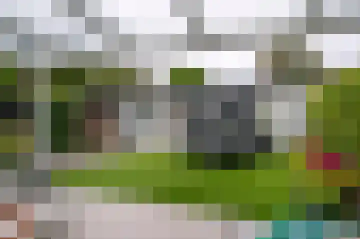 De Tipakkers 9 Pesse thumbnail 34