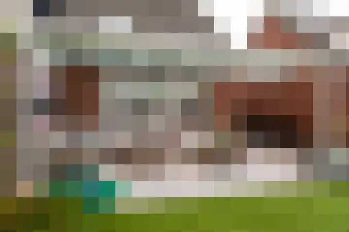 De Tipakkers 9 Pesse thumbnail 35