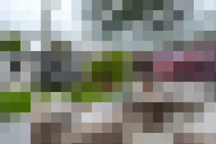 De Tipakkers 9 Pesse thumbnail 36