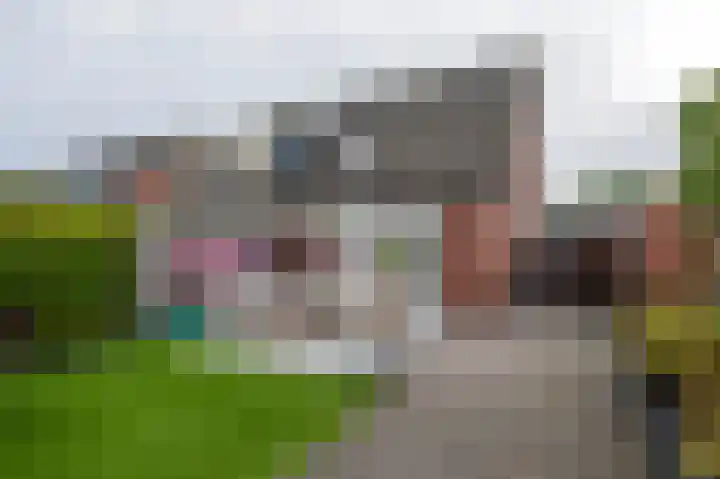 De Tipakkers 9 Pesse thumbnail 37