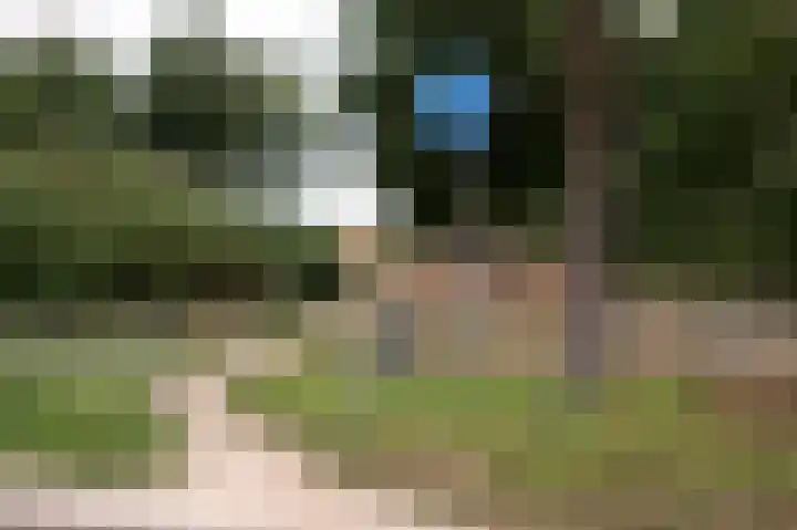 De Tipakkers 9 Pesse thumbnail 41