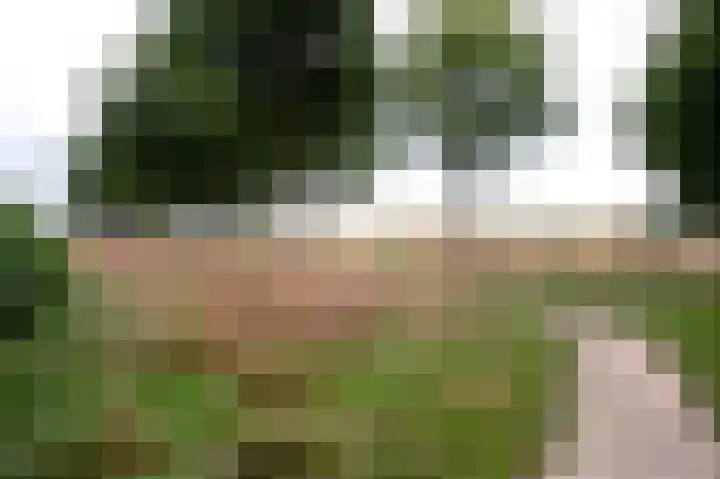 De Tipakkers 9 Pesse thumbnail 42