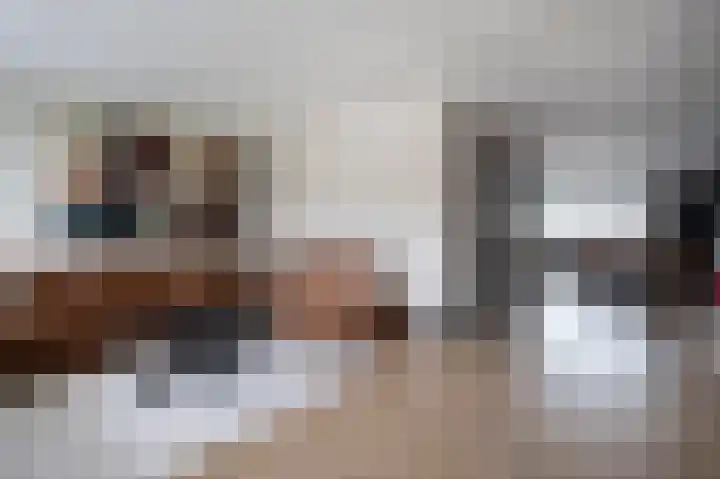 De Tipakkers 9 Pesse thumbnail 7