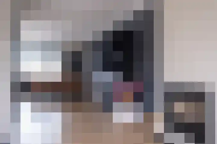 De Tipakkers 9 Pesse thumbnail 8