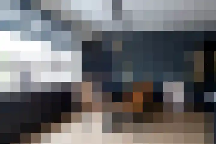 De Tipakkers 9 Pesse thumbnail 9