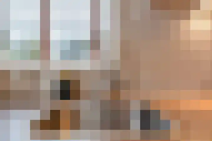 De Tippe 8 Fluitenberg thumbnail 10