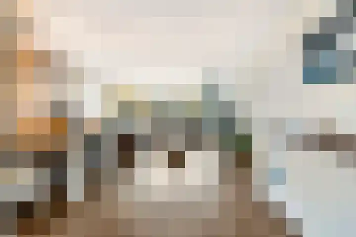 De Tippe 8 Fluitenberg thumbnail 13