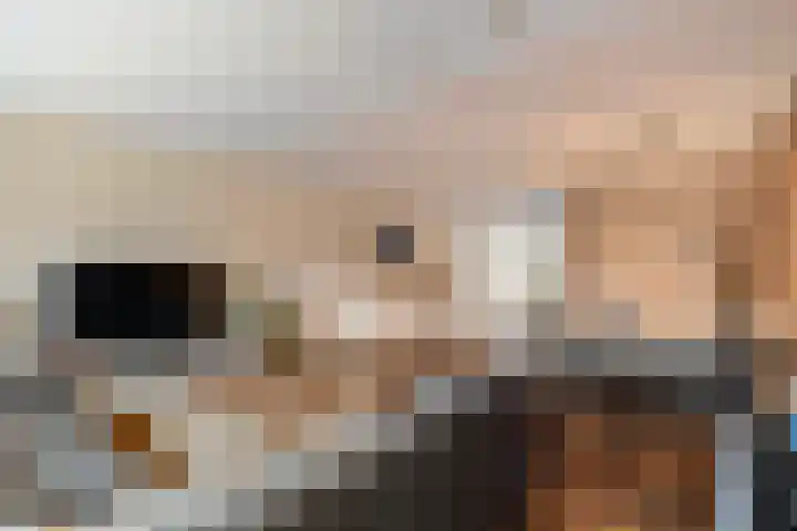 De Tippe 8 Fluitenberg thumbnail 17