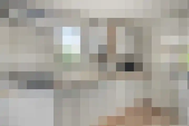 De Tippe 8 Fluitenberg thumbnail 21