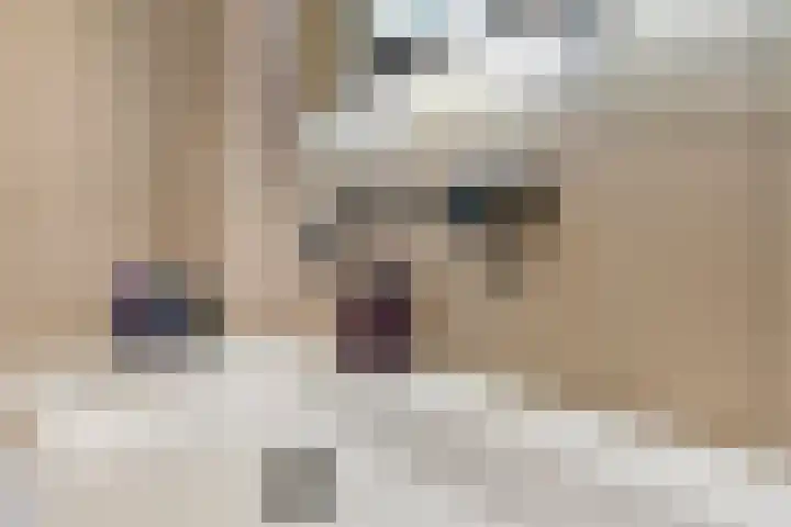 De Tippe 8 Fluitenberg thumbnail 25