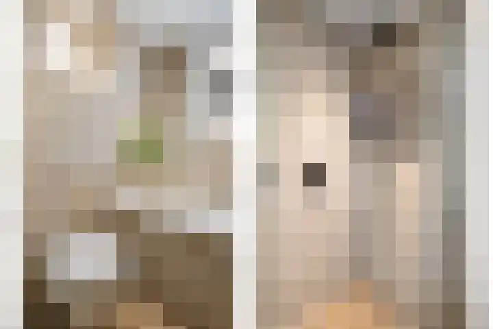 De Tippe 8 Fluitenberg thumbnail 26