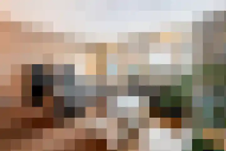 De Tippe 8 Fluitenberg foto 3