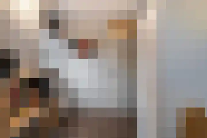 De Tippe 8 Fluitenberg thumbnail 32