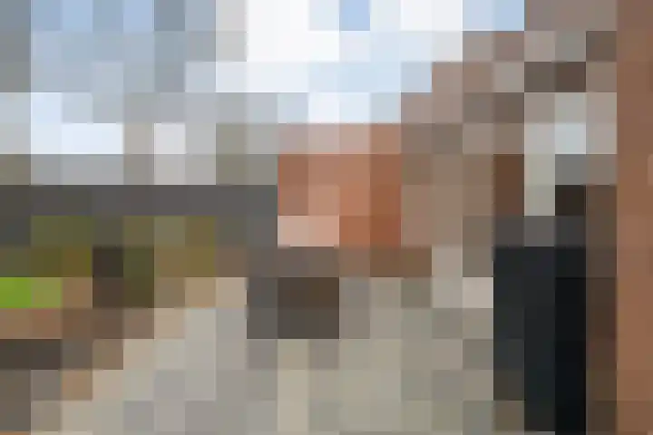 De Tippe 8 Fluitenberg thumbnail 37