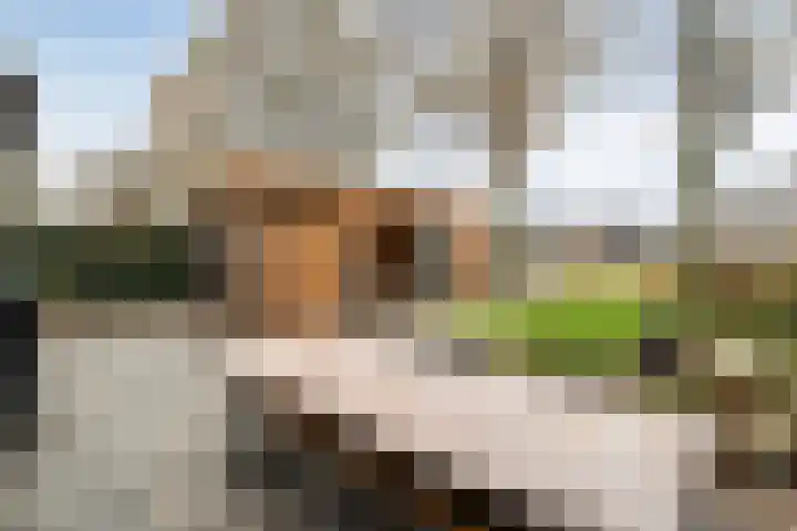 De Tippe 8 Fluitenberg thumbnail 38