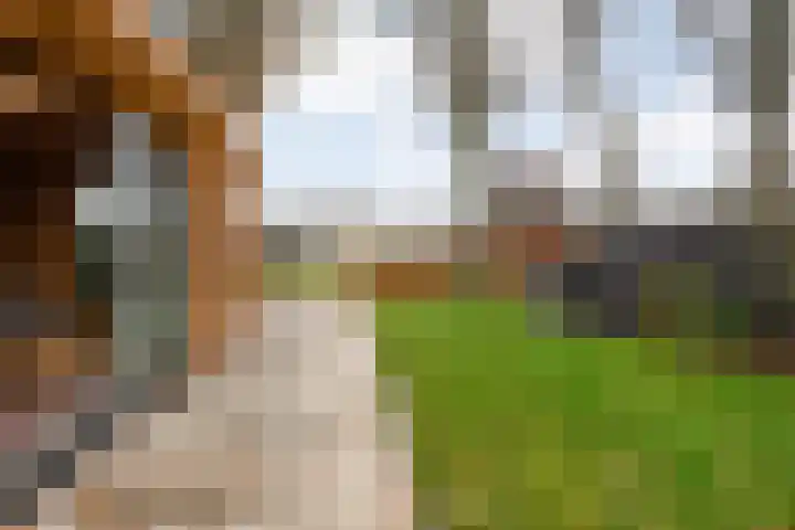 De Tippe 8 Fluitenberg thumbnail 39