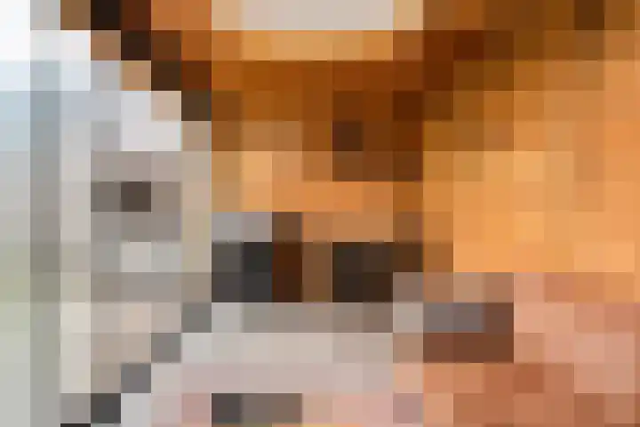 De Tippe 8 Fluitenberg thumbnail 41