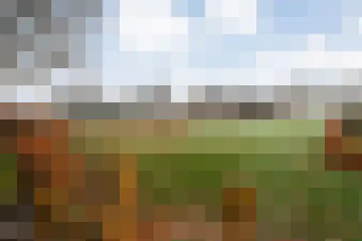 De Tippe 8 Fluitenberg thumbnail 44