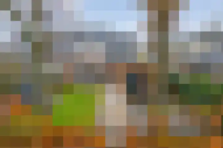 De Tippe 8 Fluitenberg thumbnail 5