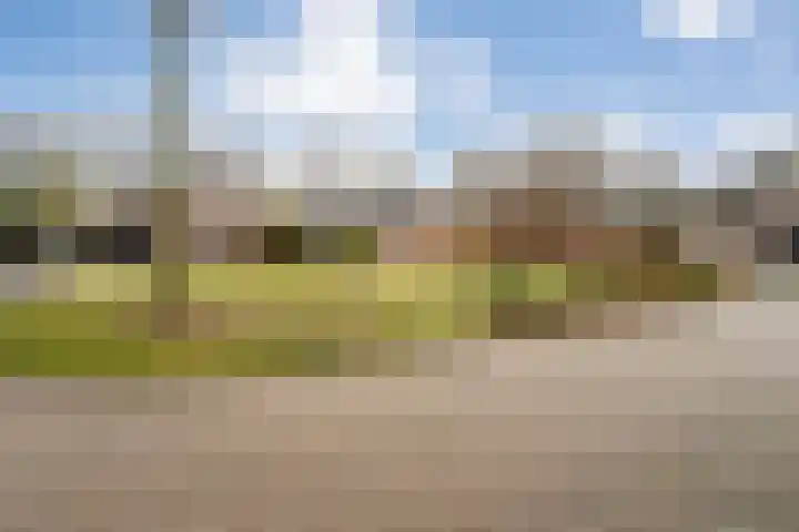 De Tippe 8 Fluitenberg thumbnail 53