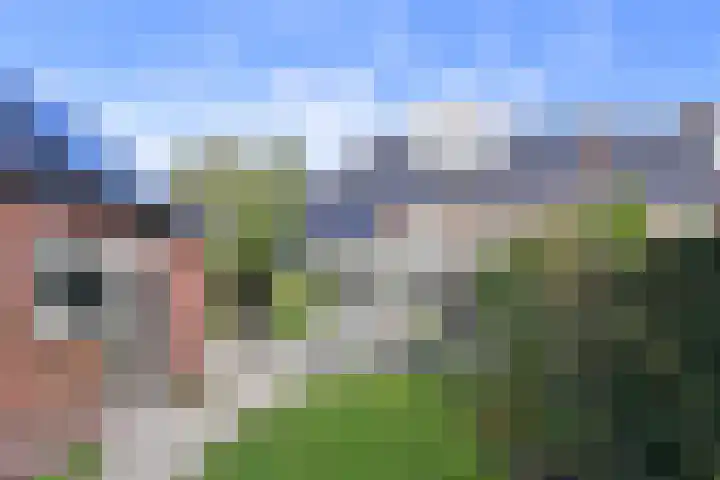 De Tippe 8 Fluitenberg thumbnail 56