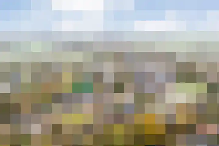 De Tippe 8 Fluitenberg thumbnail 56