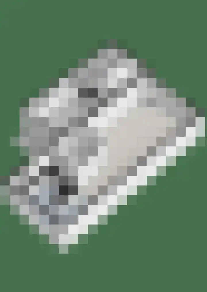 De Tippe 8 Fluitenberg thumbnail 58